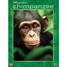 WALT DISNEY Chimpanzee