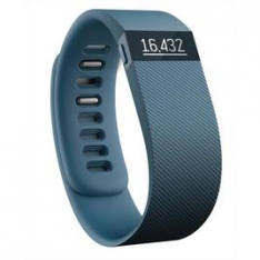 FITBIT Charge taglia L