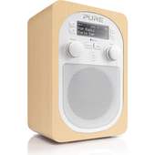 PURE Evoke D2 FM e DAB acero