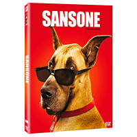 SANSONE - DVD